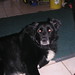 Mandy Peace Photo 11