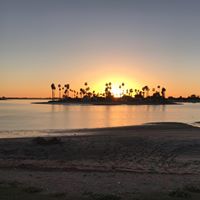 Ed Reardon Photo 8