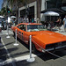 Lee Warner Photo 17