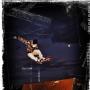 Brian Wolf Photo 26