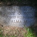 Dianne Forrest Photo 22