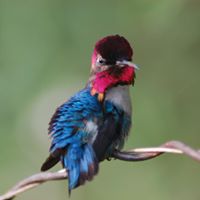 Judith Sparrow Photo 3