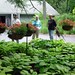 Donna Cronin Photo 18
