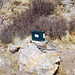 Rita Humphreys Photo 15