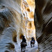 Jason Mecham Photo 6