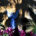 Joseph Virgilio Photo 16