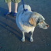 Betty Crosby Photo 17