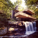 Laurel Wright Photo 40