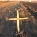 Lee Carlson Photo 38