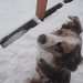 Jack Winters Photo 13