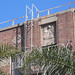 Catalina Wood Photo 6