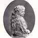 Joseph Koller Photo 18