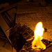 Tammy Burns Photo 17