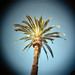 Paul Carmack Photo 19