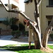 Nancy Schooler Photo 13