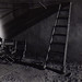 Harriet Frank Photo 18