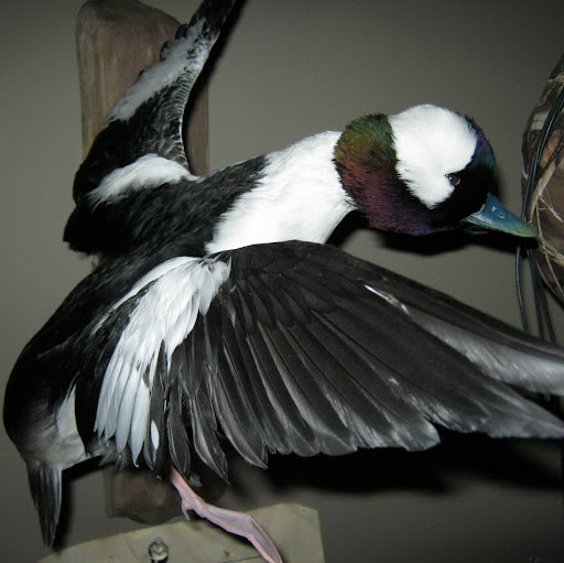 Johnny Simons Photo 4