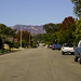 Barbara Rudolph Photo 29