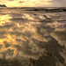 Shelly Cloud Photo 19