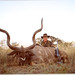 David Schrader Photo 38