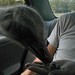 Gregory Arbuckle Photo 8