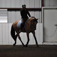 Cindy Myhre Photo 6