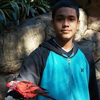 Jomar Acosta Photo 5
