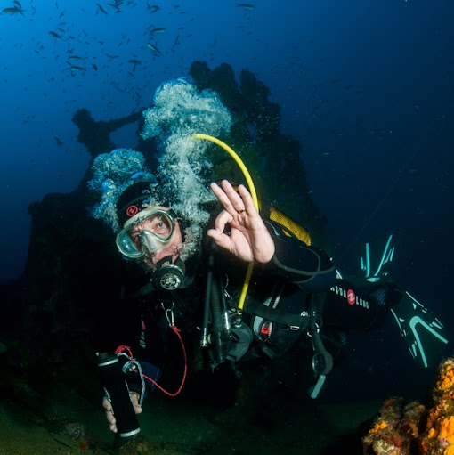 Yves Pierre Photo 14
