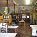 Susan Fish Photo 38