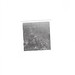 Randolph Dickey Photo 8