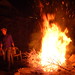 Jacqueline Burns Photo 21