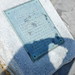 Vicki Holland Photo 27