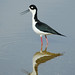 Don Ulrich Photo 21