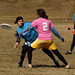 Susan Schiller Photo 7
