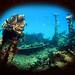 Verne Paradise Photo 7