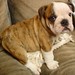 Vickie Mills Photo 34