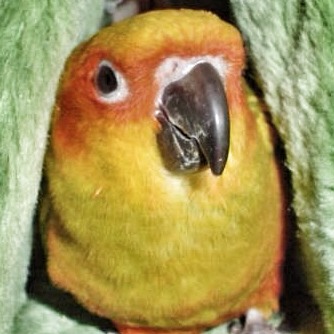 John Alderson Photo 17