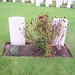 George Davies Photo 40