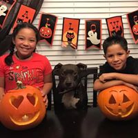 Debra Castro Photo 35