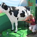 Susan Vogel Photo 25