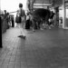 Peter Adams Photo 27