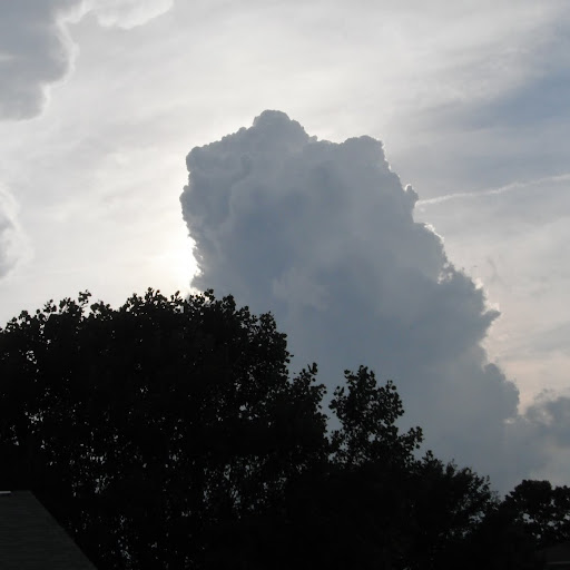Roger Hart Photo 43