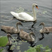 Geraldine Swan Photo 13