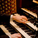 James Wortman Photo 8