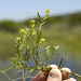 Dale Cress Photo 2