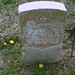 William Mcclure Photo 39