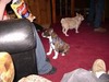 Casey Kelly Photo 16