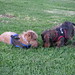 Heather Beasley Photo 13