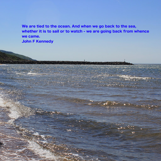 Donna Gillis Photo 23