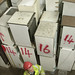 Stewart Holmes Photo 16